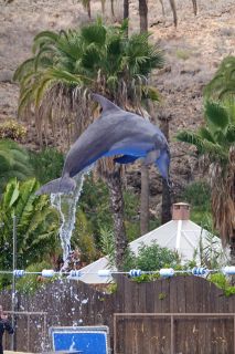 GC-Plalmitos Park 2019-082.JPG